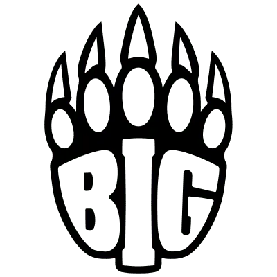 Team BIG CS2 Settings