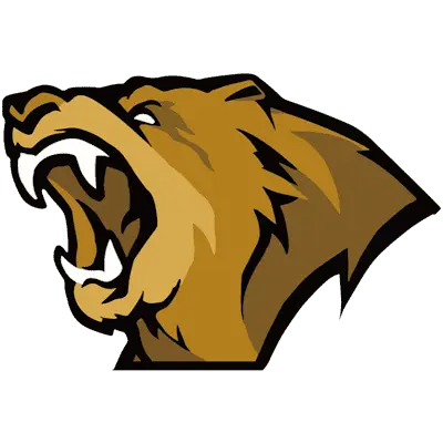 Team Lynn Vision CS2 Settings