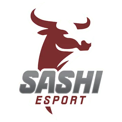 Team Sashi CS2 Settings